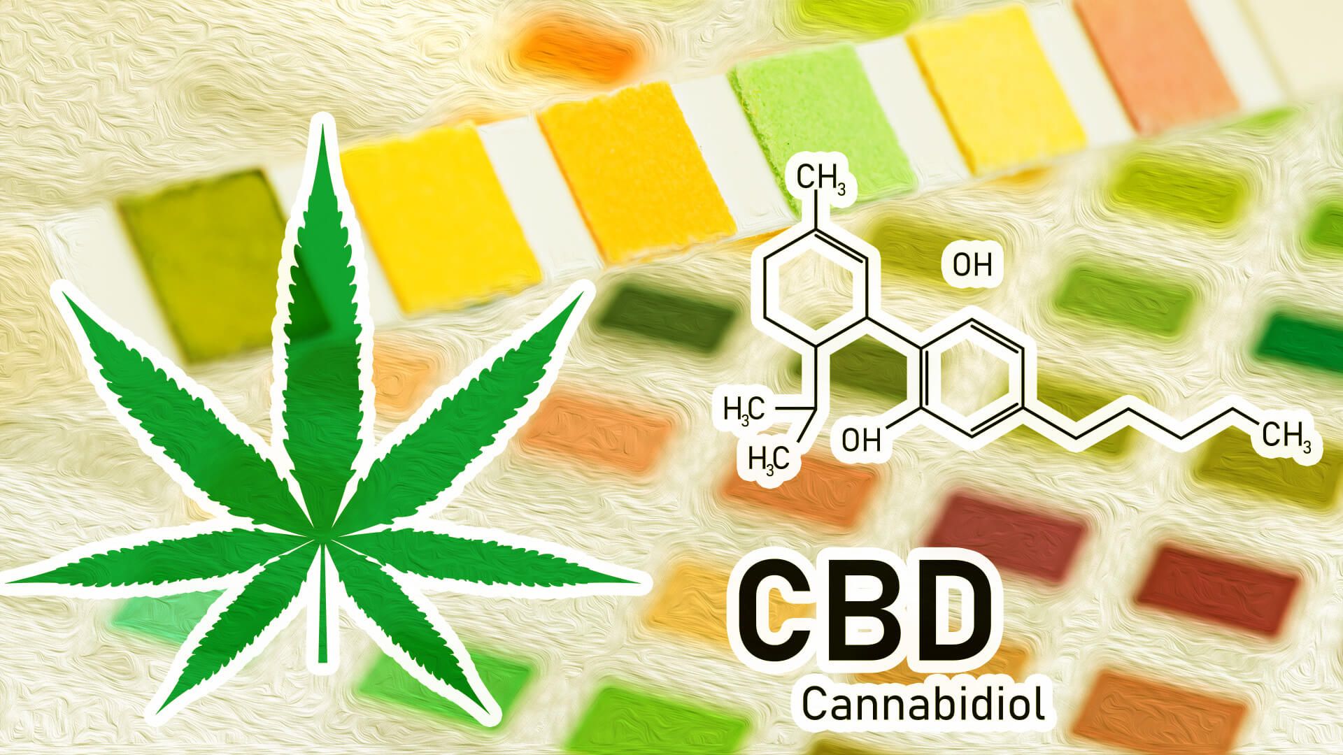 Will CBD Show Up On a Drug Test?