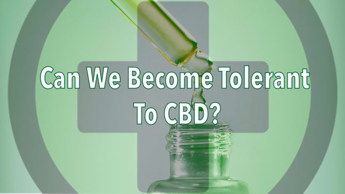 Can You Build a Tolerance to CBD?